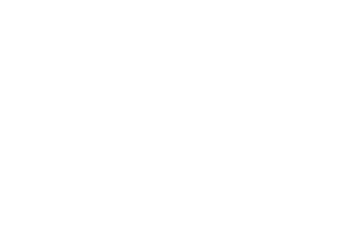 Mister Polter